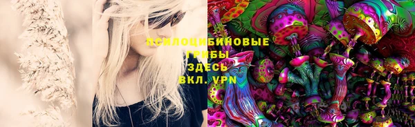 марки nbome Новодвинск