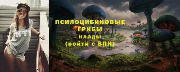 мескалин Новозыбков