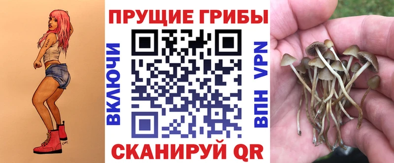 наркота  Аркадак  KRAKEN ссылки  Псилоцибиновые грибы ЛСД 
